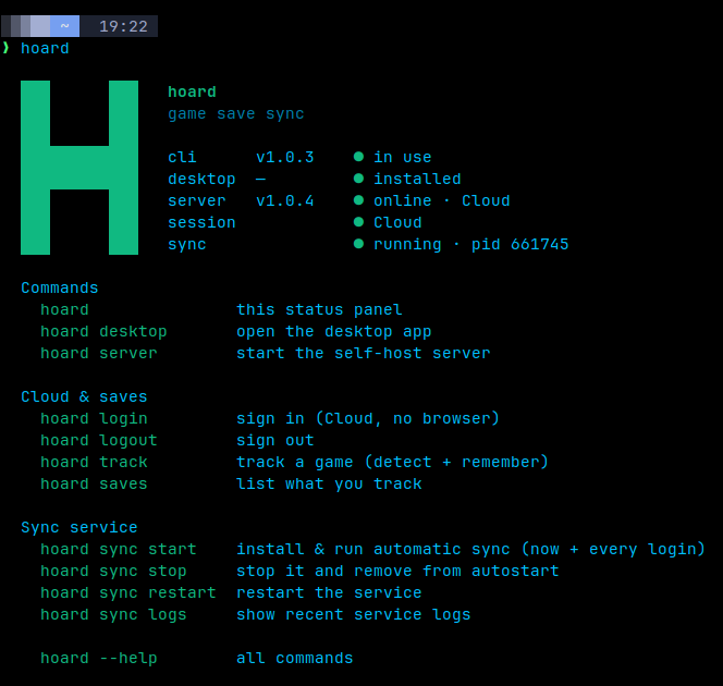 The Hoard CLI running in a terminal, syncing game saves headless